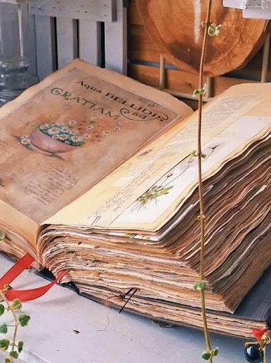 Practical Magic: la magia real detrás de las hermanas Owens